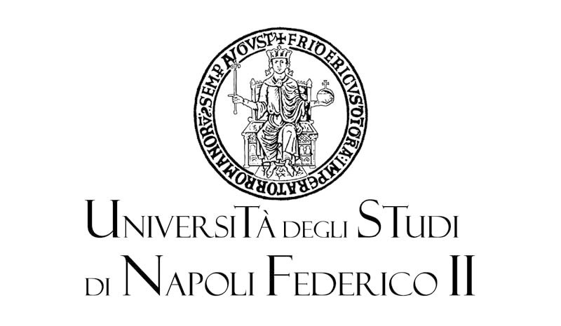 Università degli Studi di Napoli `Federico II`